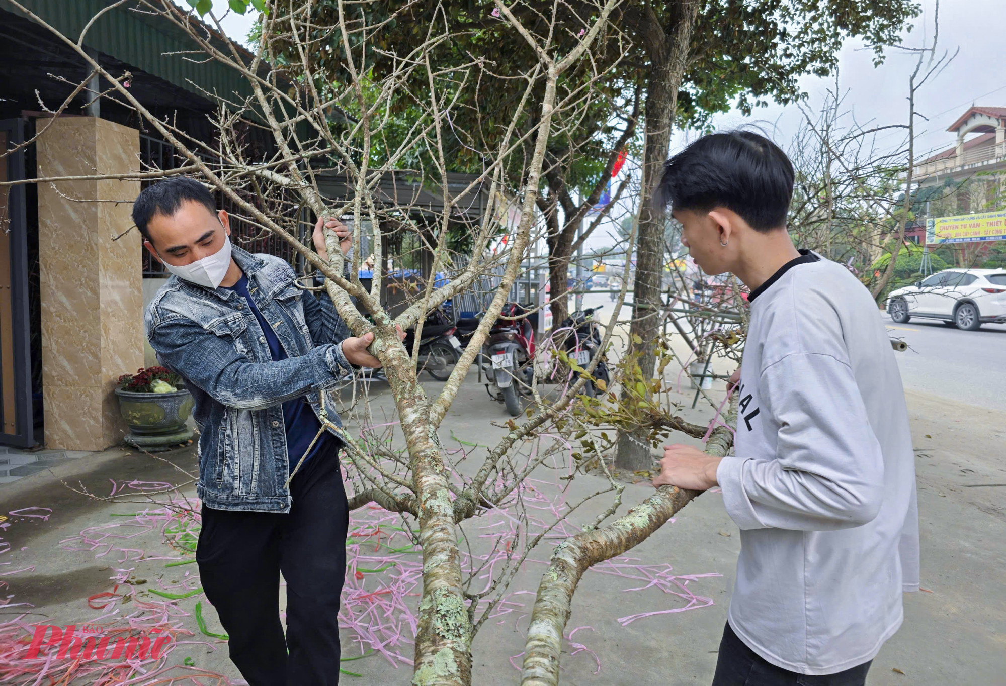 &ldquo;Năm nay đ&agrave;o đẹp rất &iacute;t n&ecirc;n t&ocirc;i chỉ mua được hơn 100 c&agrave;nh. Gi&aacute; đ&agrave;o năm nay cũng tăng 1/3 so với năm ngo&aacute;i. Nếu như c&agrave;nh năm ngo&aacute;i chỉ khoảng 1 triệu th&igrave; nay t&ocirc;i đ&atilde; mua 1,5 triệu n&ecirc;n cũng kh&ocirc;ng d&aacute;m lấy về nhiều sợ kh&oacute; b&aacute;n&rdquo; - &ocirc;ng Cương n&oacute;i.