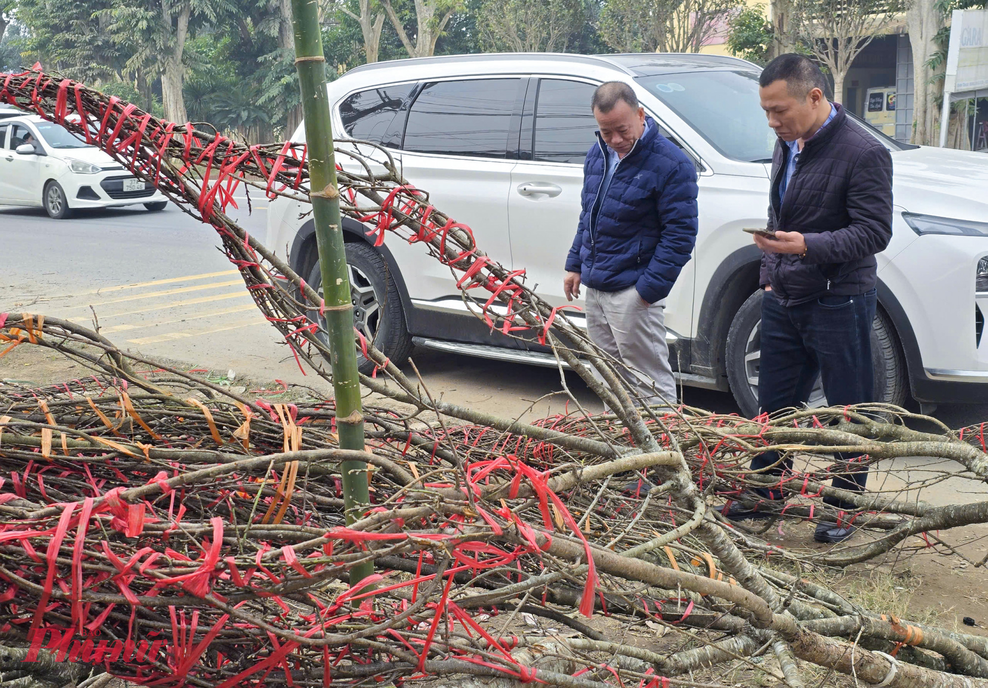 Theo anh Quyền, đ&agrave;o đ&aacute; c&oacute; th&acirc;n, gốc phủ đầy r&ecirc;u phong mang vẻ hoang sơ n&ecirc;n được nhiều người ưa chuộng. &ldquo;Những năm trước đ&agrave;o về rất nhiều dễ lựa chọn hơn, nhưng năm nay số lượng rất &iacute;t, lại đắt n&ecirc;n giờ t&ocirc;i vẫn chưa mua được c&agrave;nh n&agrave;o&rdquo; - anh Quyền n&oacute;i.