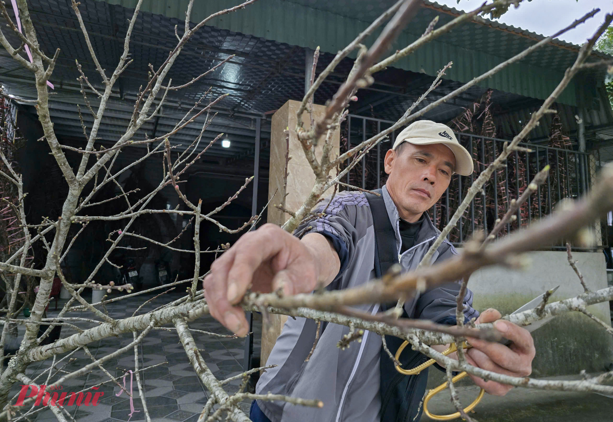 &Ocirc;ng Phạm Hồng Cương (tr&uacute; x&atilde; Nghi &Acirc;n) cho biết, đ&atilde; c&oacute; th&acirc;m ni&ecirc;n 10 năm đi buồn đ&agrave;o tết. Đầu th&aacute;ng Chạp, &ocirc;ng thường t&igrave;m đến nương rẫy, vườn nh&agrave; của người d&acirc;n ở tỉnh Sơn La để thu mua theo vườn. Trung b&igrave;nh mỗi năm &ocirc;ng vận chuyển về TP Vinh hơn 200 c&agrave;nh đ&agrave;o để b&aacute;n dịp tết.