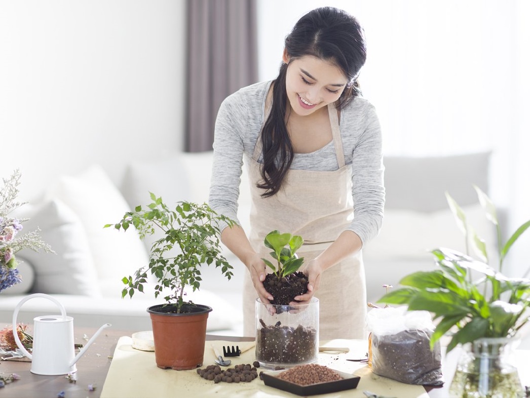Chăm c&acirc;y để c&oacute; khoảng thời gian thư gi&atilde;n v&agrave; r&egrave;n luyện t&iacute;nh c&aacute;ch cho m&igrave;nh 