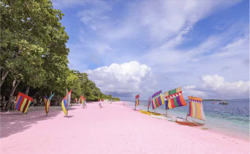 Đảo Great Santa Cruz l&agrave; nơi sở hữu một trong số &iacute;t b&atilde;i biển m&agrave;u hồng ở Philippines - Nguồn ảnh: Internet
