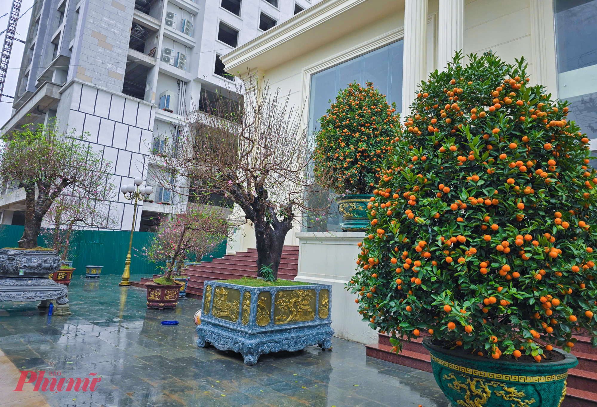 Những c&acirc;y quất được b&aacute;n với gi&aacute; 20 triệu đồng trước tết nay giảm chỉ c&ograve;n 2-3 triệu đồng. Theo anh Ngọc, nếu như đ&agrave;o kh&ocirc;ng b&aacute;n hết c&oacute; thể vận chuyển ra c&aacute;c nh&agrave; vườn ở Sơn La, Hải Ph&ograve;ng&hellip; thu&ecirc; chăm s&oacute;c hộ với gi&aacute; 5 triệu đồng mỗi c&acirc;y, chờ đến tết năm sau vận chuyển về b&aacute;n th&igrave; quất, bưởi&hellip; rất kh&oacute; v&agrave; tốn k&eacute;m chi ph&iacute; hơn rất nhiều. &ldquo;Đ&ecirc;m giao thừa c&ograve;n bị lấy trộm mất hơn chục c&acirc;y quất, đ&agrave;o. Giờ nếu thanh l&yacute; hết được may ra mới thu hồi lại đủ tiền vốn bỏ ra&rdquo; - anh Ngọc n&oacute;i.