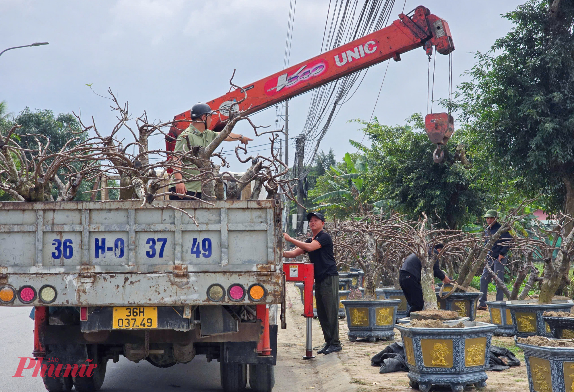 Theo c&aacute;c tiểu thương, c&oacute; nhiều phương &aacute;n xử l&yacute; c&acirc;y cảnh tết tồn đọng như: b&aacute;n rẻ cho người c&oacute; nhu cầu, ho&agrave;n lại cho c&aacute;c đầu mối c&acirc;y cảnh với gi&aacute; rẻ, thanh l&yacute; hoặc thu&ecirc; c&aacute;c nh&agrave; vườn chăm s&oacute;c. Tuy nhi&ecirc;n, phương &aacute;n được nhiều người &aacute;p dụng nhất l&agrave; b&aacute;n với gi&aacute; cực rẻ, vừa b&aacute;n vừa cho đối với những người c&oacute; nhu cầu để giảm bớt tiền c&ocirc;ng vận chuyển.