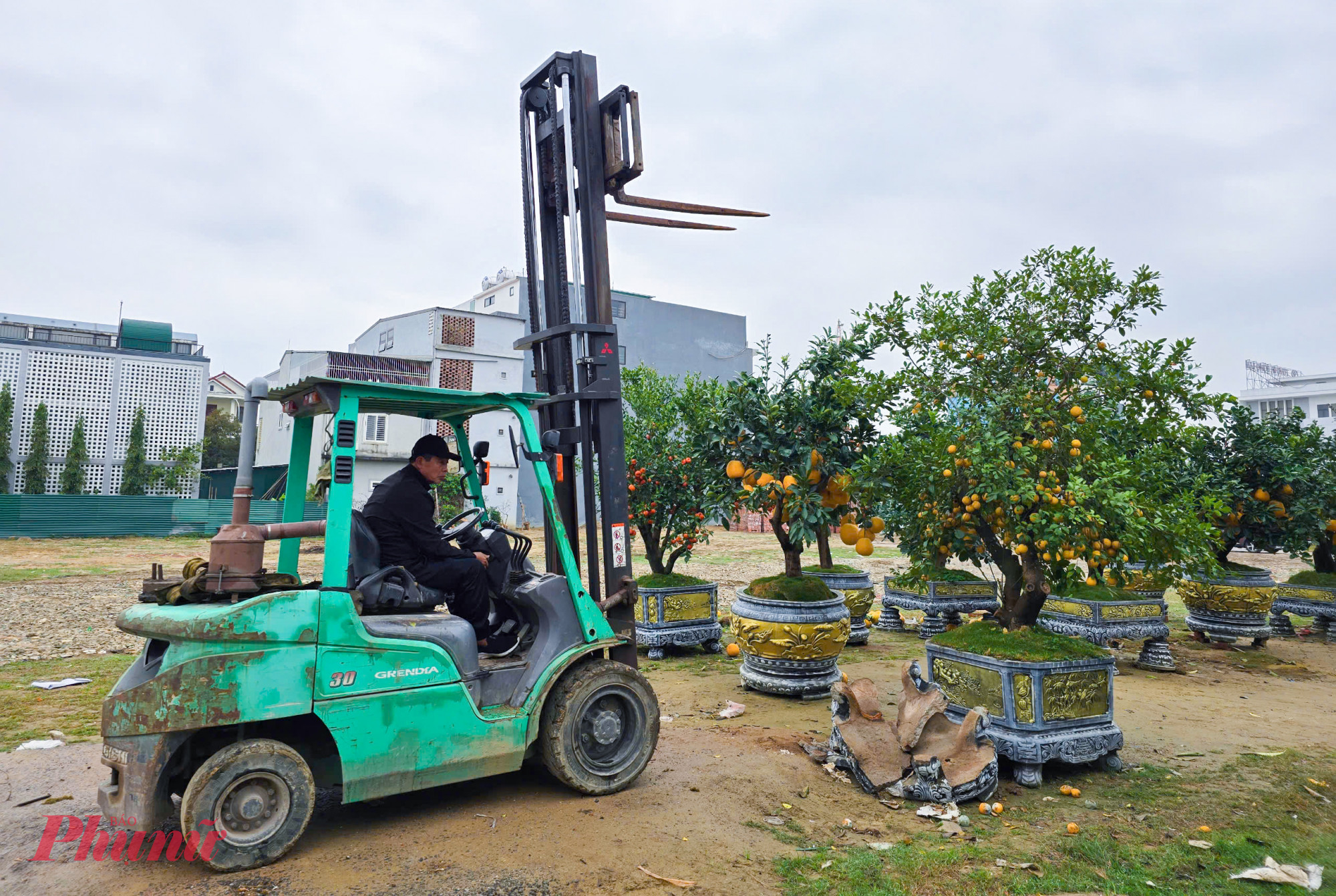 Anh Trần Bảo Ngọc (tr&uacute; TP Vinh) cho biết, d&ugrave; gắng gượng b&aacute;n đến gần thời điểm giao thừa mới về nh&agrave; song vẫn c&ograve;n ế gần một nửa đ&agrave;o v&agrave; quất. &ldquo;Từ 27 tết, t&ocirc;i đ&atilde; phải giảm gi&aacute; mạnh nhưng vẫn rất &iacute;t người mua. Giờ m&igrave;nh gắng ra thanh l&yacute; gi&aacute; rẻ nốt những c&acirc;y c&ograve;n lại cho người mua về trồng l&agrave;m cảnh với gi&aacute; rẻ được đồng n&agrave;o hay đồng đ&oacute;&rdquo; - anh Ngọc n&oacute;i.