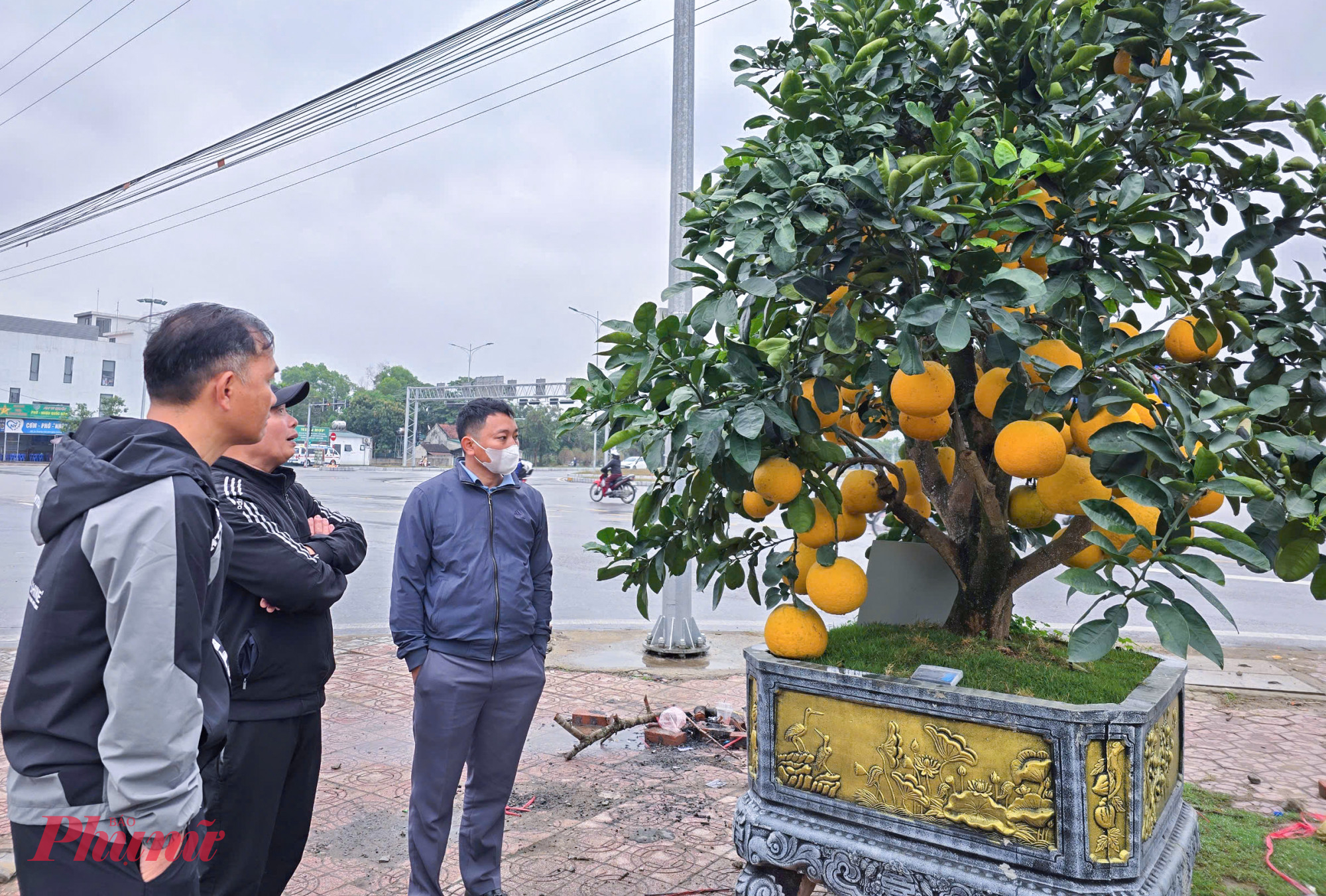 Anh Do&atilde;n Trung Phong (chủ 5 điểm kinh doanh c&acirc;y cảnh tết ở TP Vinh) cho biết, chưa năm n&agrave;o việc kinh doanh c&acirc;y cảnh tết lại &ldquo;bể&rdquo; nặng như năm nay. Từ M&ugrave;ng 3 tết, anh đ&atilde; phải li&ecirc;n hệ với c&aacute;c nh&agrave; vườn ở Thanh H&oacute;a, H&agrave; Tĩnh thanh l&yacute; gi&aacute; rẻ đ&agrave;o, quất, mai&hellip; song hiện vẫn c&ograve;n hơn 300 c&acirc;y chưa b&aacute;n được.