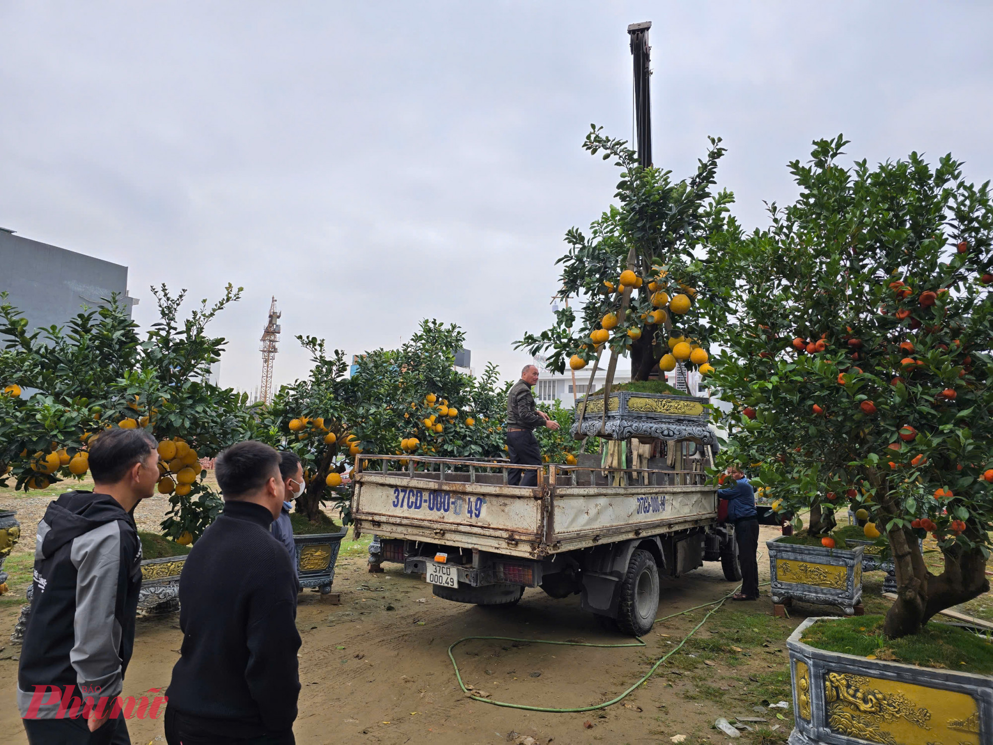 Sau những ng&agrave;y nghỉ tết, nhiều tiểu thương b&aacute;n c&acirc;y cảnh tết ở TP Vinh (tỉnh Nghệ An) lại tất tả ra điểm b&aacute;n để t&igrave;m phương &aacute;n thanh l&yacute; số c&acirc;y cảnh chưa thể ti&ecirc;u thụ được trước tết. 