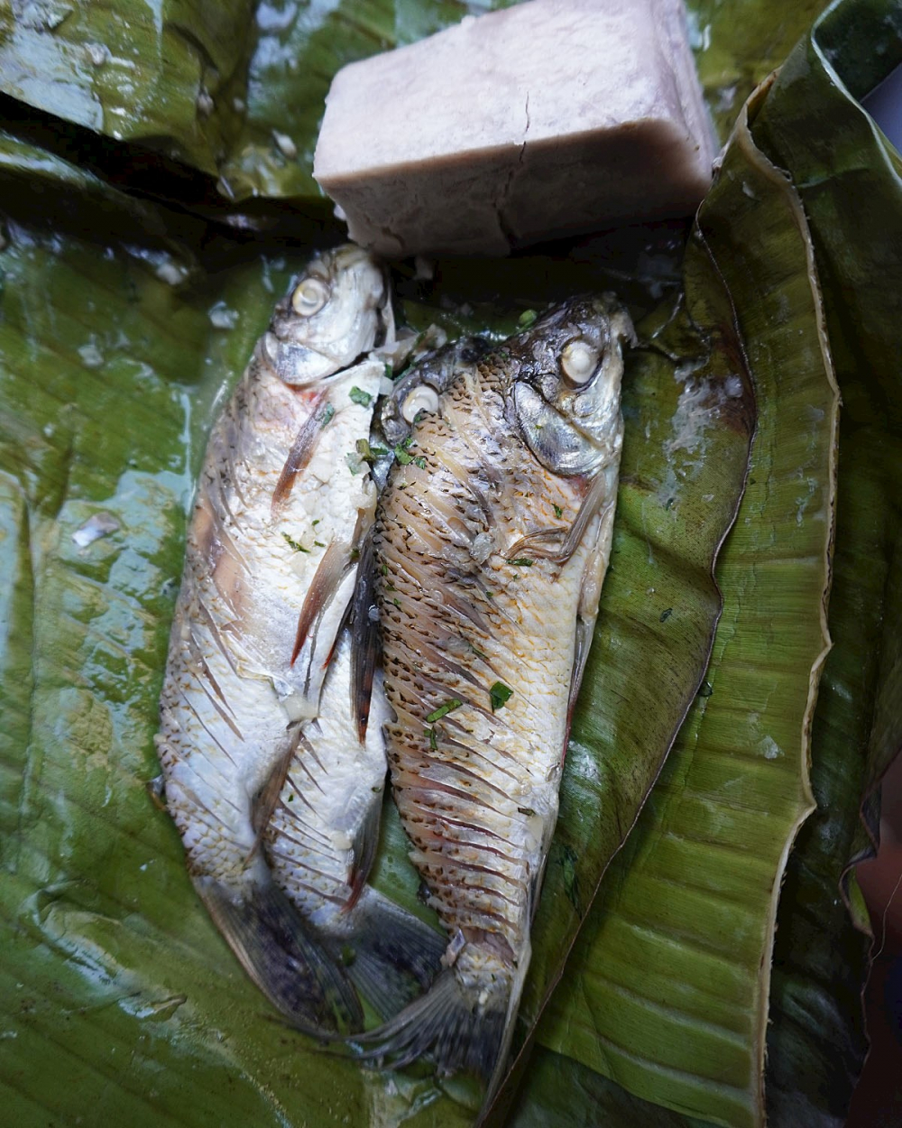 Patarashca l&agrave; một m&oacute;n c&aacute; nướng truyền thống của v&ugrave;ng Amazon, Peru. C&aacute; tươi (thường l&agrave; c&aacute; da trơn hoặc c&aacute; s&ocirc;ng địa phương) được ướp với tỏi, muối, ti&ecirc;u, rau m&ugrave;i, nghệ v&agrave; c&aacute;c loại gia vị đặc trưng, sau đ&oacute; g&oacute;i trong l&aacute; bijao (tương tự l&aacute; chuối) rồi nướng tr&ecirc;n than. C&aacute;ch chế biến n&agrave;y gi&uacute;p c&aacute; giữ được độ ẩm, thấm đẫm hương vị tự nhi&ecirc;n v&agrave; c&oacute; m&ugrave;i thơm đặc trưng. Patarashca thường được ăn k&egrave;m với cơm, chuối chi&ecirc;n hoặc sắn, l&agrave; một phần quan trọng trong ẩm thực Amazon 