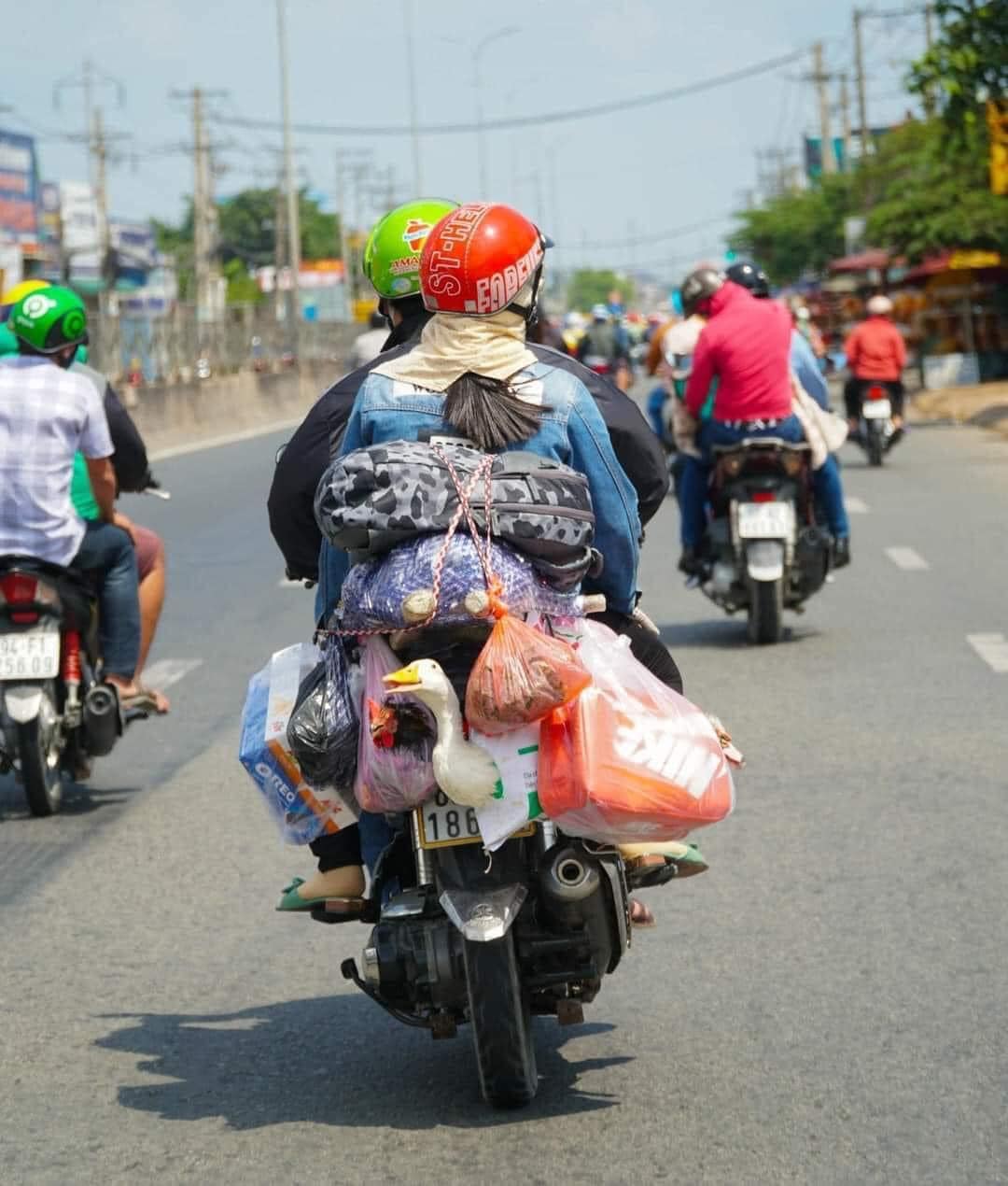 Những chiếc xe như mang cả m&ugrave;a xu&acirc;n ở qu&ecirc; l&ecirc;n phố thị. (ảnh minh họa)