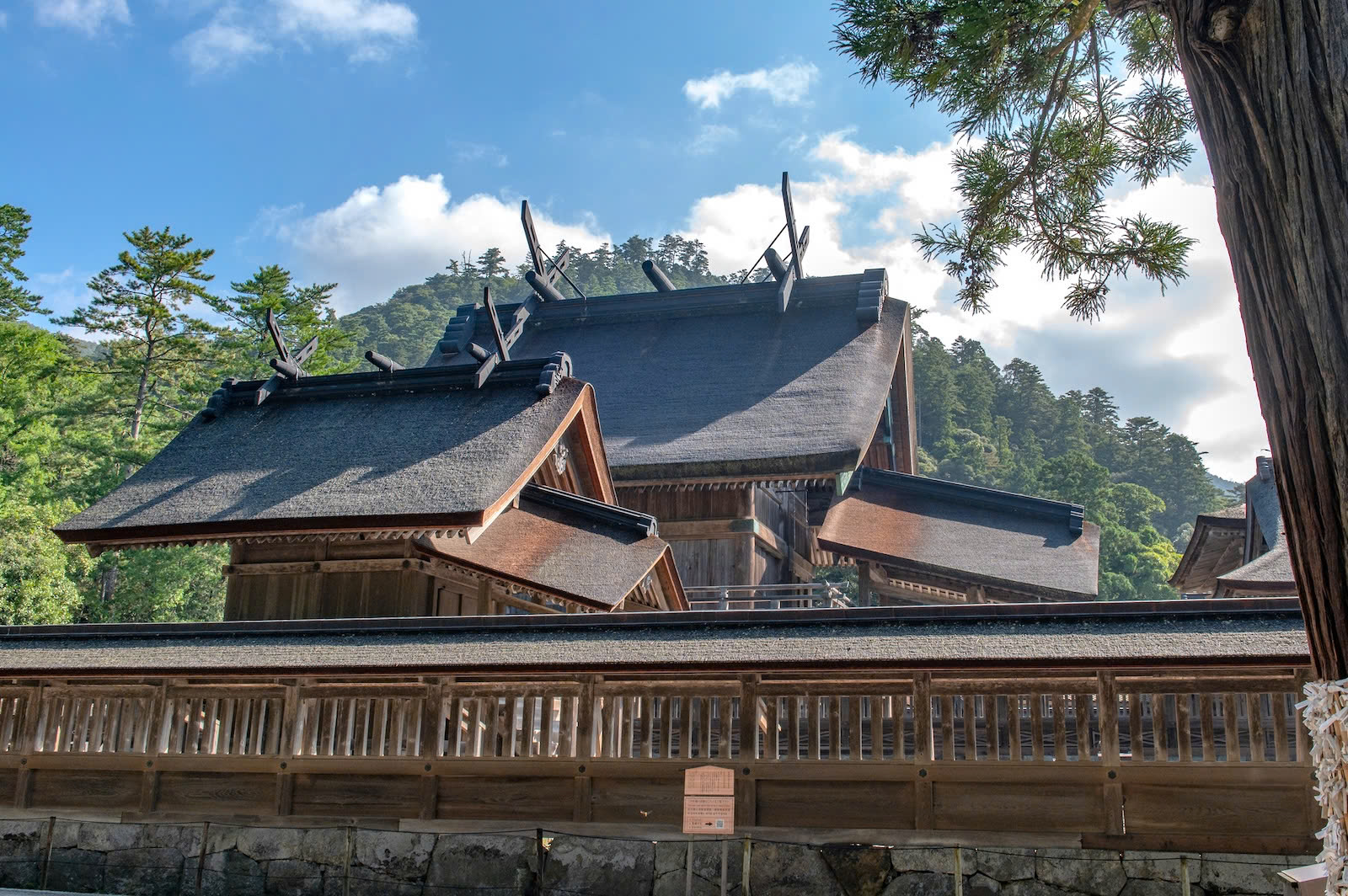 C&aacute;c vị thần Shinto của Nhật Bản thường tụ họp tại Izumo Taisha v&agrave;o th&aacute;ng Mười &acirc;m lịch, nhưng du kh&aacute;ch th&igrave; đến đ&acirc;y quanh năm - Nguồn ảnh: Pixta