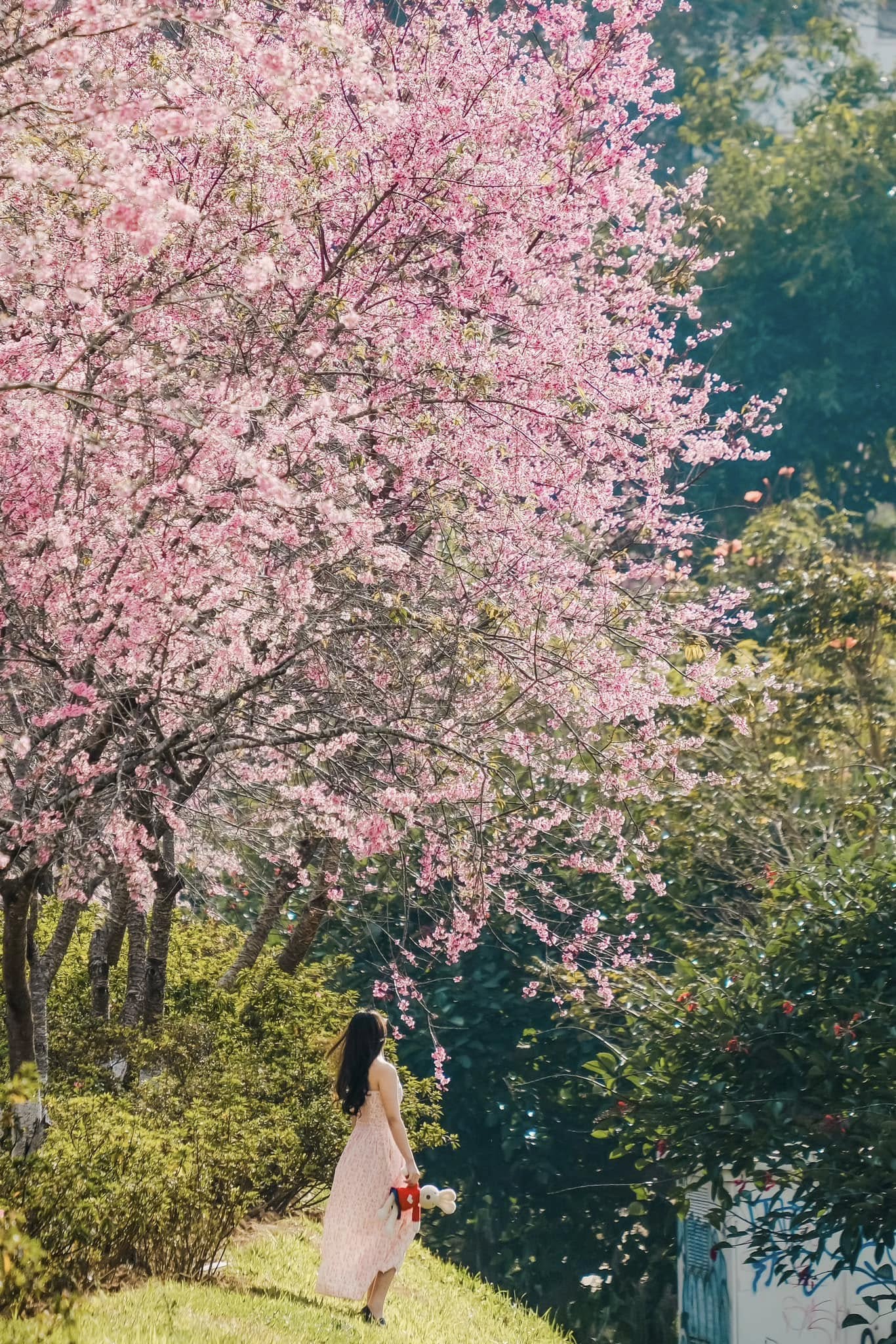 Tổng chi ph&iacute; cho chuyến đi: 