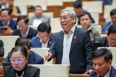 ĐBQH L&ecirc; Xu&acirc;n Th&acirc;n - ảnh: Media Quốc hội