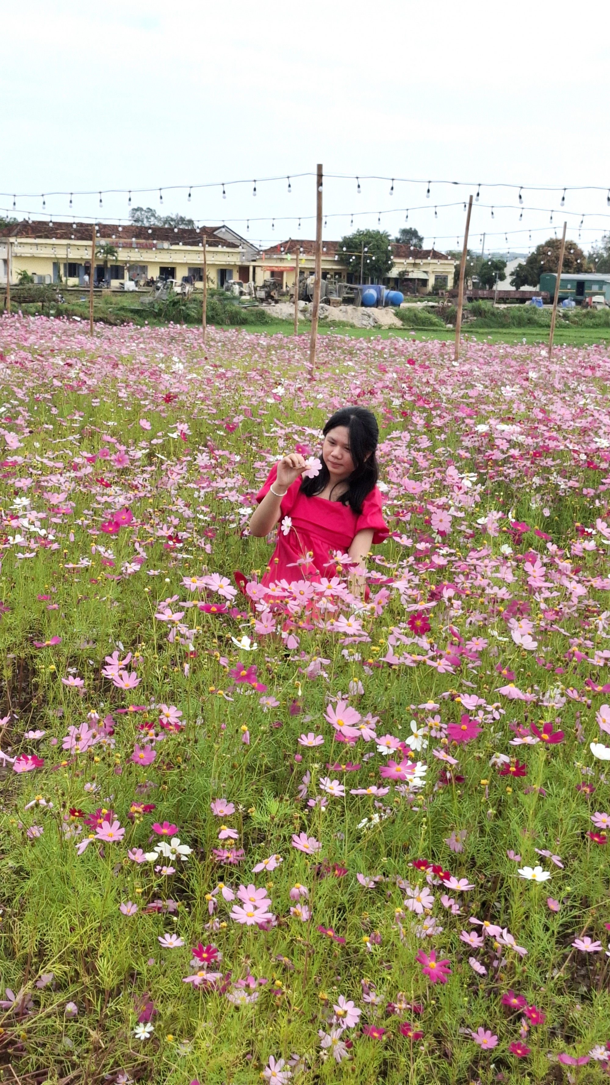 Rực rỡ sắc m&agrave;u 