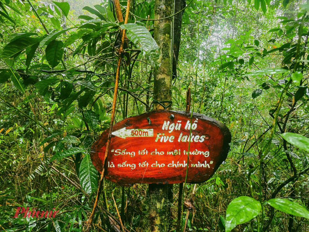 Những bảng chỉ lối tteen Bạch Mã đều kèm những câu thơ mang thông điệp nhắn gửi về việc bảo vệ môi trường, trân trọng thiên nhiên