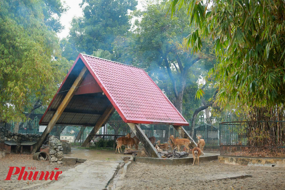 Thời tiết tại H&agrave; Nội đang r&eacute;t đậm, để giữ ấm cho động vật tại vườn th&uacute;, c&ocirc;ng nh&acirc;n phải t&uacute;c trực để chăm s&oacute;c, theo d&otilde;i sức khỏe cho th&uacute; khi nhiệt độ xuống thấp.