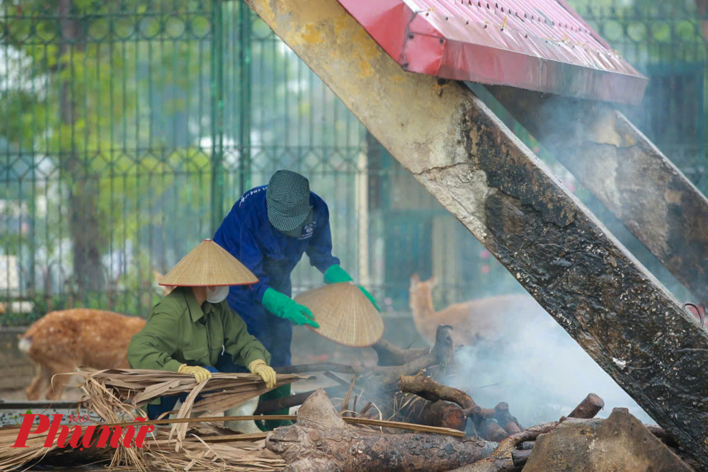 C&aacute;c khu chuồng động vật m&oacute;ng guốc, Vườn th&uacute; sử dụng th&ecirc;m phương &aacute;n đốt lửa thường xuy&ecirc;n 24/7 để tạo kh&ocirc;ng gian ấm &aacute;p cho th&uacute; tr&uacute; ẩn.