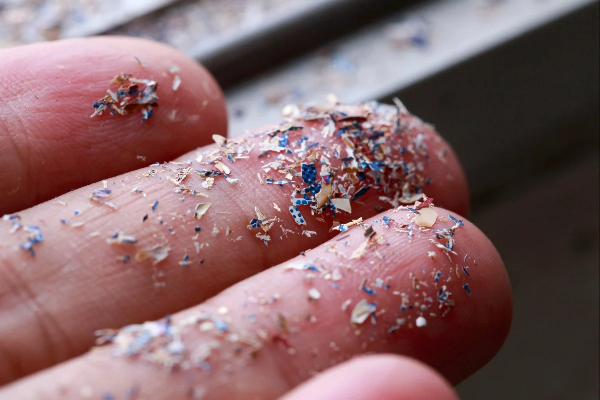 Vi nhựa g&acirc;y ra những lo ngại về sức khoẻ d&ugrave; chưa c&oacute; 