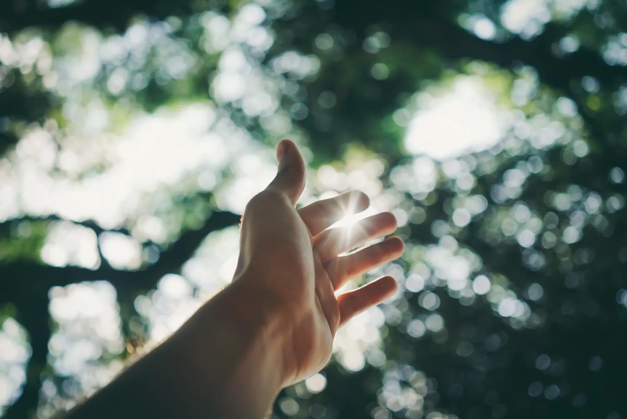 Lần đầu ti&ecirc;n sau những ng&agrave;y nằm bệnh, khi đưa mẹ chồng đi dạo m&aacute;t, Sương thấy ch&iacute;nh m&igrave;nh cũng hạnh ph&uacute;c, an vui - Ảnh: Pexels