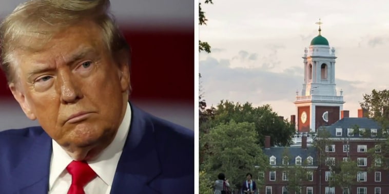 Harvard kiện ch&iacute;nh quyền &ocirc;ng Trump sau khi bị c&acirc;t giảm tiền t&agrave;i trợ - Ảnh: NBC