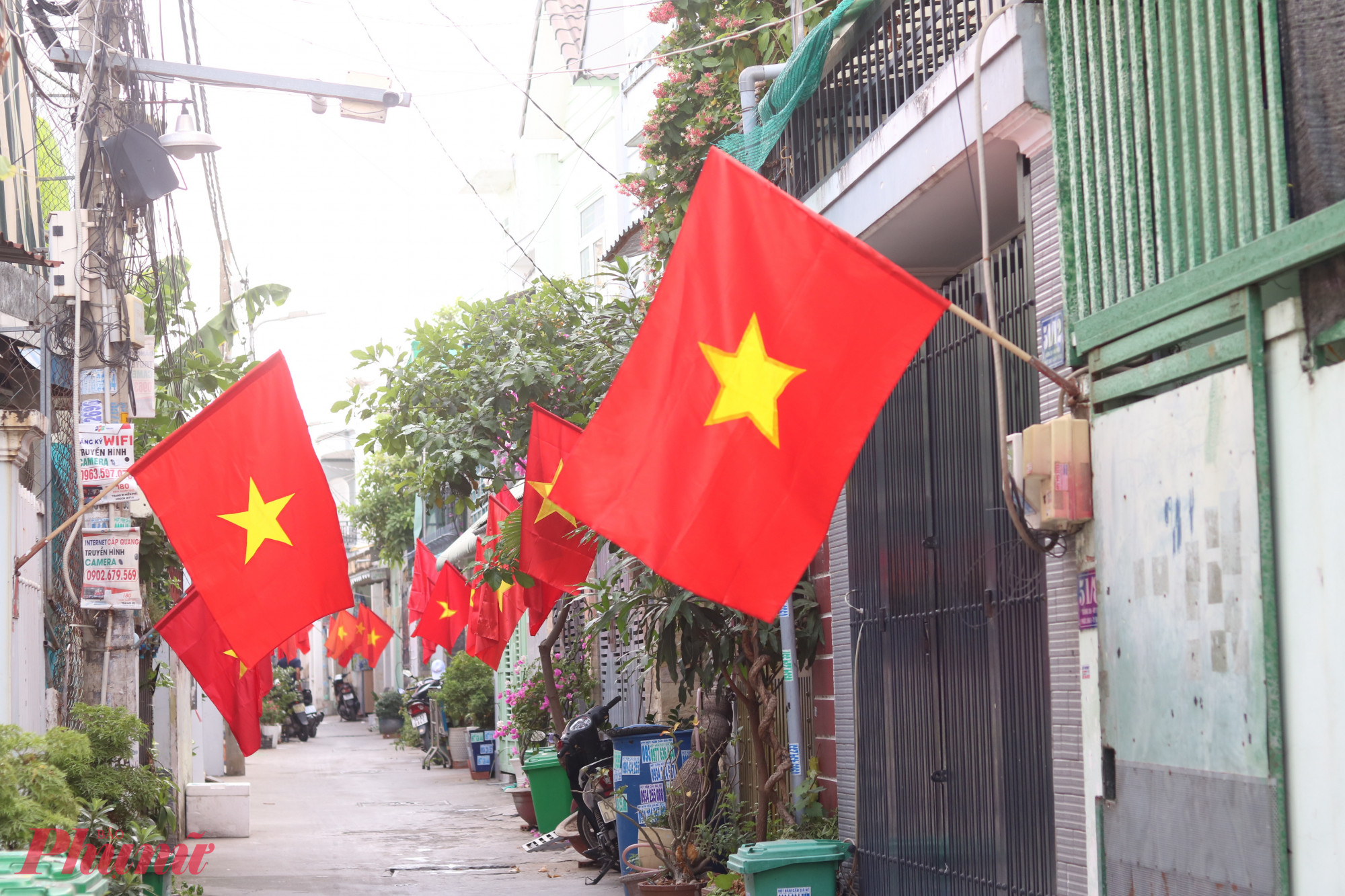 Sắc đỏ tự h&agrave;o trong hẻm 51, đường 359, khu phố 18, phường Phước Long B.