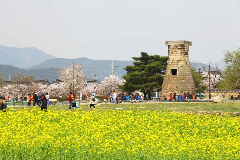 Cheomseongdae, được coi l&agrave; đ&agrave;i quan s&aacute;t thi&ecirc;n văn l&acirc;u đời nhất c&ograve;n tồn tại ở Ch&acirc;u &Aacute;, được x&acirc;y dựng v&agrave;o năm 633 sau C&ocirc;ng nguy&ecirc;n trong thời đại Silla v&agrave; nằm giữa c&aacute;c lăng mộ ho&agrave;ng gia ở Gyeongju,