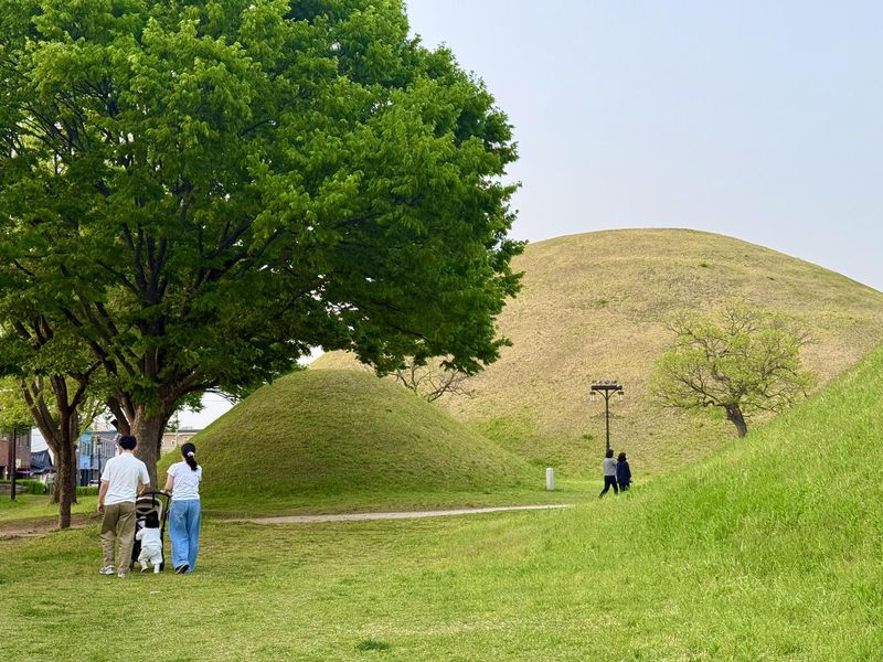 Du kh&aacute;ch đi dạo quanh những g&ograve; đất phủ đầy cỏ trong quần thể lăng mộ ho&agrave;ng gia Daereungwon ở Gyeongju, tỉnh Gyeongsang Bắc, thứ s&aacute;u. Ảnh của Korea Times 
