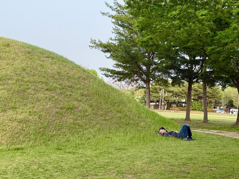Một du kh&aacute;ch ngủ trưa tr&ecirc;n một g&ograve; đất cỏ trong quần thể lăng mộ ho&agrave;ng gia Daereungwon ở Gyeongju, tỉnh Gyeongsang Bắc, thứ s&aacute;u. Ảnh của Korea Times