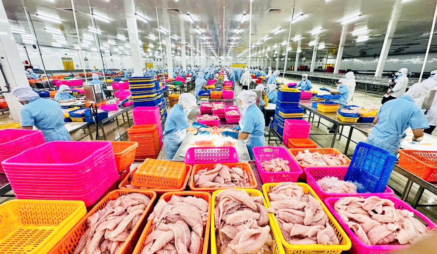 Việt Nam v&agrave; Mỹ đ&atilde; khởi động đ&agrave;m ph&aacute;n vấn đề kinh tế - thương mại giữa 2 nước. Trong ảnh: Chế biến thủy sản xuất khẩu ở C&ocirc;ng ty cổ phần Nam Việt (Navico) tại An Giang - ẢNH: MAI CA