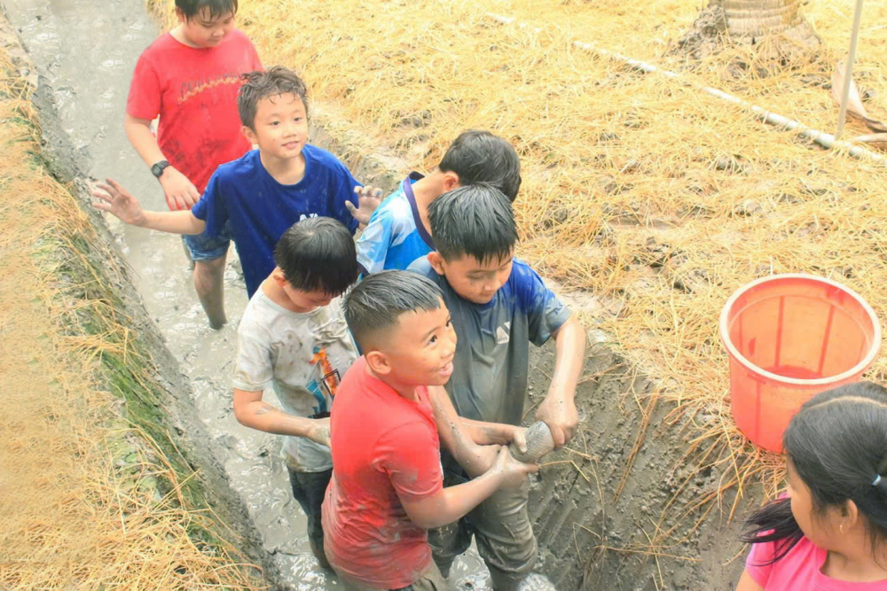 M&ugrave;a h&egrave; lấm lem, rộn vui với c&aacute;c hoạt động t&aacute;t mương bắt c&aacute;... c&ugrave;ng c&aacute;c bạn - Nguồn ảnh: &Yacute; Tưởng Việt