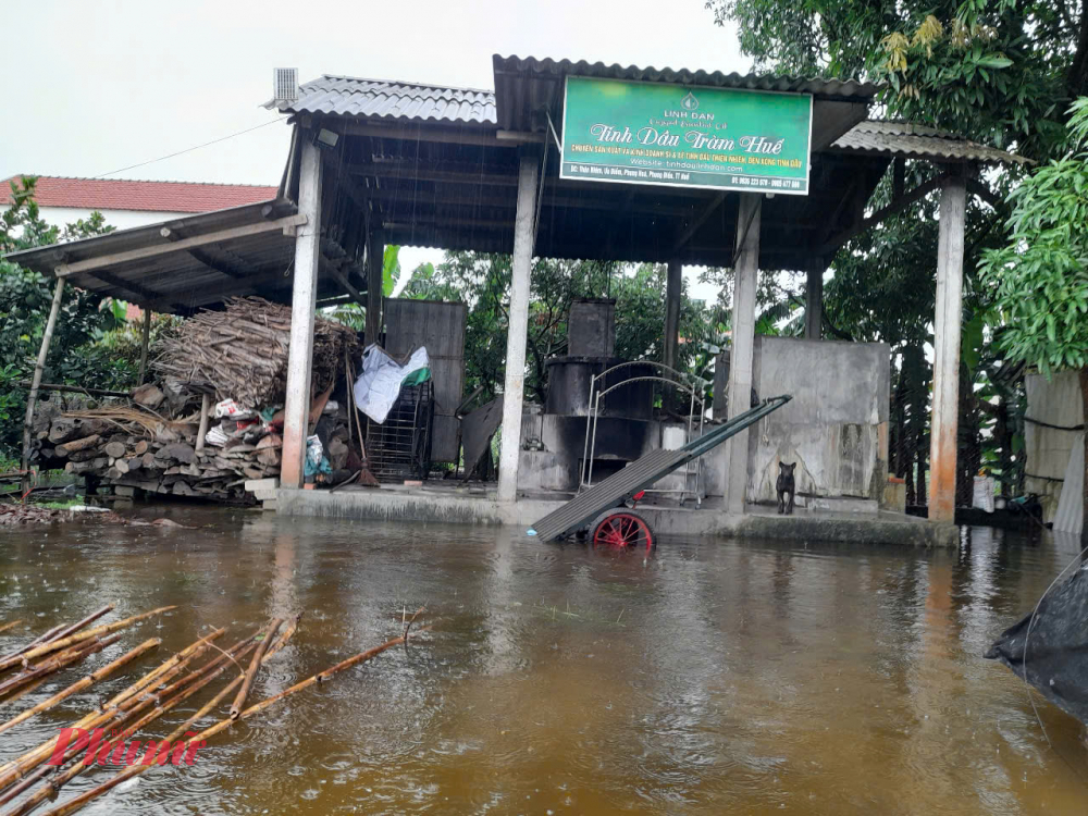 Cơ sở nấu dầu tr&agrave;m Linh Đan của một d&acirc;n x&atilde; Phong H&ograve;a huyện Phong Điền ngập trong nước lũ
