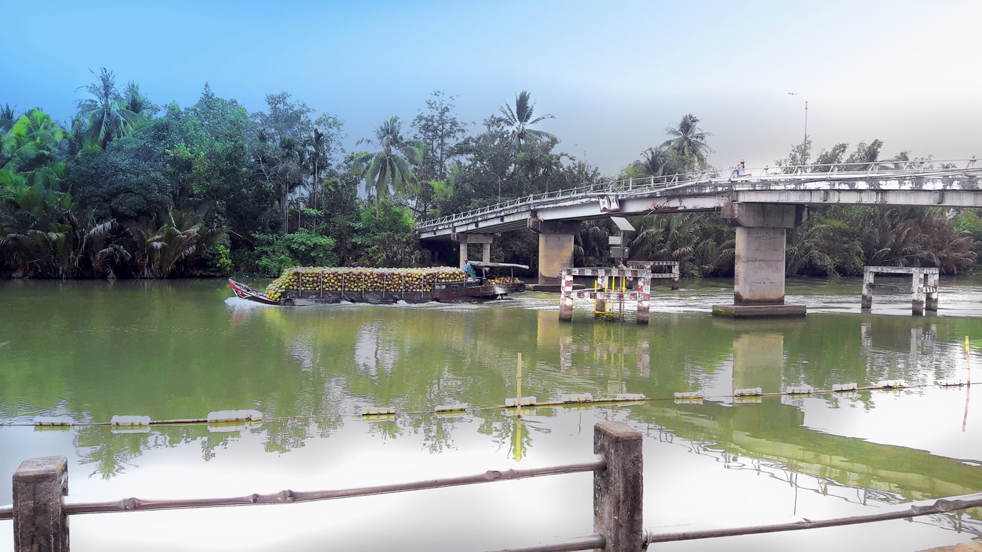 D&ograve;ng s&ocirc;ng, con rạch c&ugrave;ng những chuyến l&ecirc;nh đ&ecirc;nh s&ocirc;ng nước ng&agrave;y ấy  lu&ocirc;n chiếm giữ một g&oacute;c quan trọng trong l&ograve;ng t&ocirc;i - Ảnh do t&aacute;c giả cung cấp 