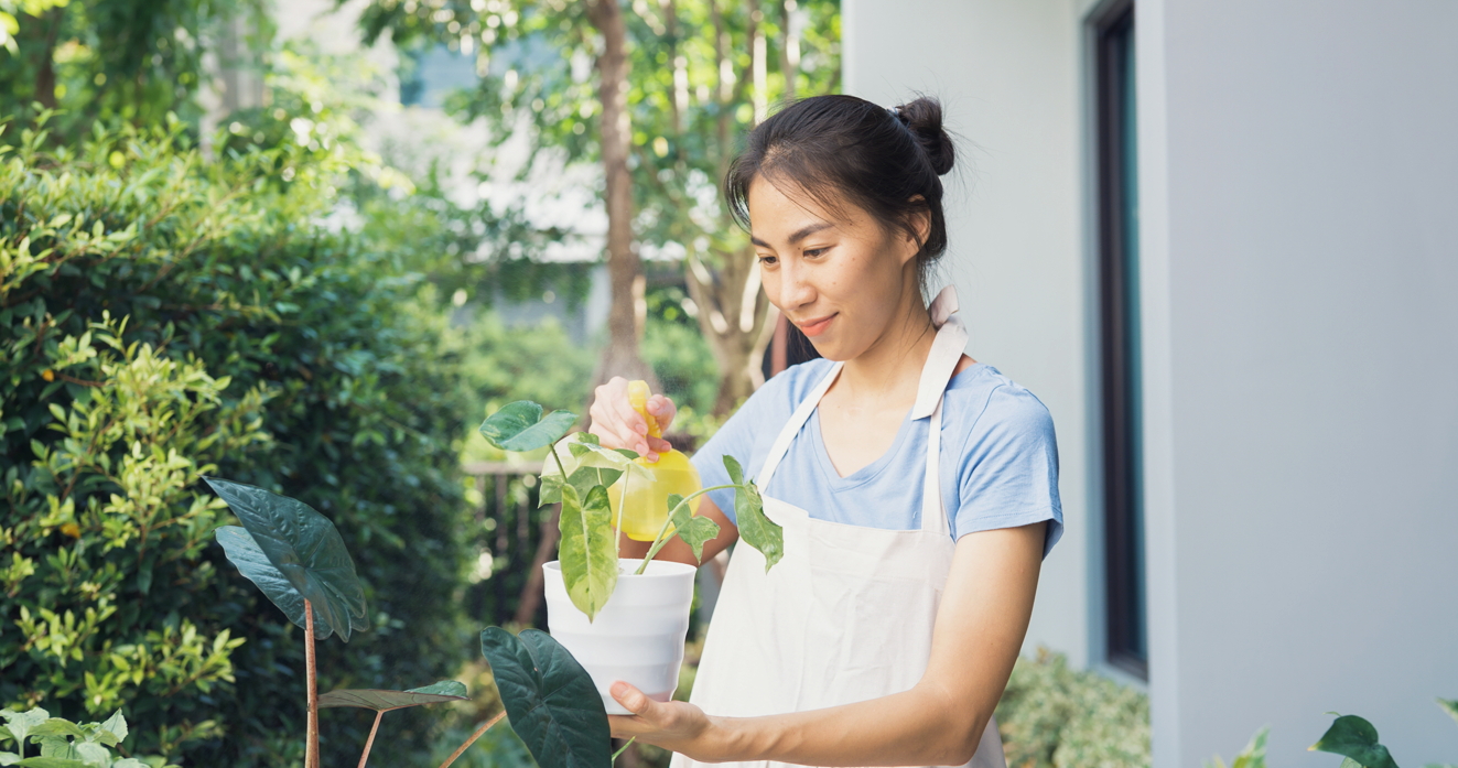 Ảnh mang t&iacute;nh minh họa - Shutterstock