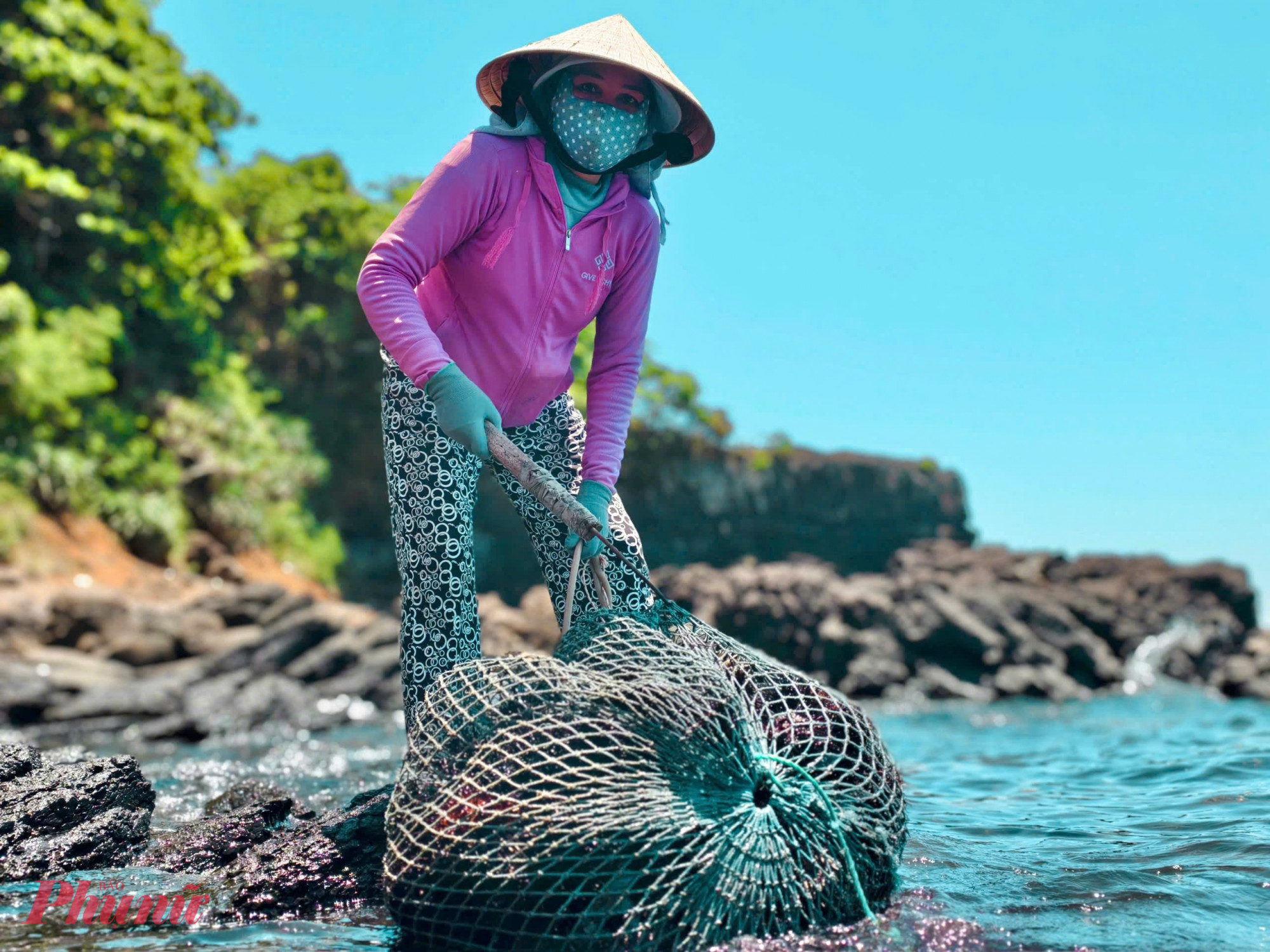 Theo ngư d&acirc;n, nhum biển c&oacute; quanh năm nhưng từ th&aacute;ng 4 đến th&aacute;ng 8 l&agrave; thời điểm nhum chắc thịt, d&agrave;y gạch nhất trong năm.