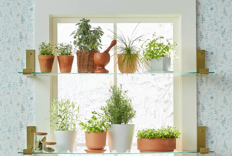 bhg
