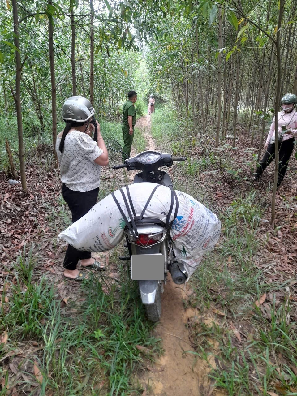 B&agrave; T. mang heo chết vứt trong rẫy keo được người d&acirc;n ph&aacute;t hiện v&agrave; b&aacute;o c&ocirc;ng an x&atilde; Nghĩa H&agrave;nh (tỉnh Quảng Ng&atilde;i) tới xử l&yacute;_Ảnh: C&ocirc;ng an x&atilde; Nghĩa H&agrave;nh.
