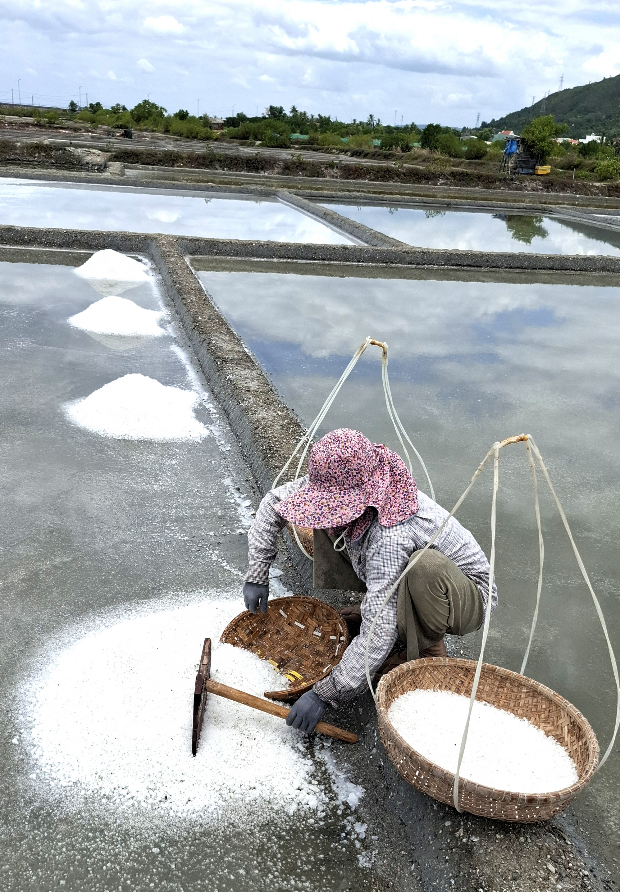 Việc thu hoạch muối được thực hiện ho&agrave;n to&agrave;n thủ c&ocirc;ng, d&ugrave;ng b&agrave;n c&agrave;o c&aacute;ng ngắn hốt muối v&agrave;o trong rổ.