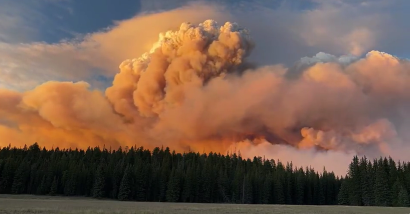 tạo ra hiện tượng thời tiết cực đoan m&acirc;y lửa - pyrocumulus, c&oacute; khả năng g&acirc;y s&eacute;t, gi&oacute; giật mạnh, thậm ch&iacute; cả lốc xo&aacute;y lửa.Ảnh: Cliff Berger