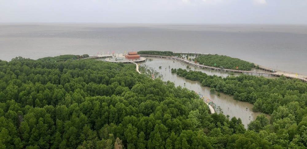 C&agrave; Mau nỗ lực đ&oacute;n hơn 8,4 triệu lượt du kh&aacute;ch trong năm 2025