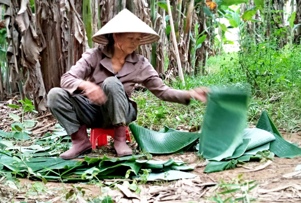 Mẹ t&aacute;c giả ng&agrave;y ng&agrave;y vẫn cần mẫn tiết kiệm tiền từ việc b&aacute;n l&aacute; chuối