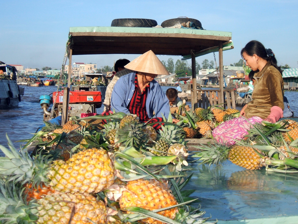 Phụ nữ chở kh&oacute;m từ miệt G&ograve; Quao (tỉnh An Giang) về b&aacute;n ở chợ nổi C&aacute;i Răng (TP Cần Thơ)  - ẢNH: HUỲNH LỢI