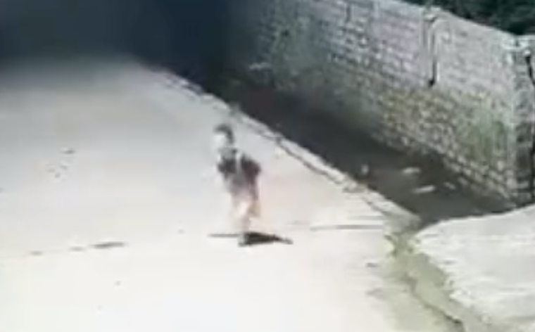 B&eacute; Qu&acirc;n chạy v&agrave;o gọi người lớn khi em trai rơi xuống mương nước - Ảnh cắt từ clip