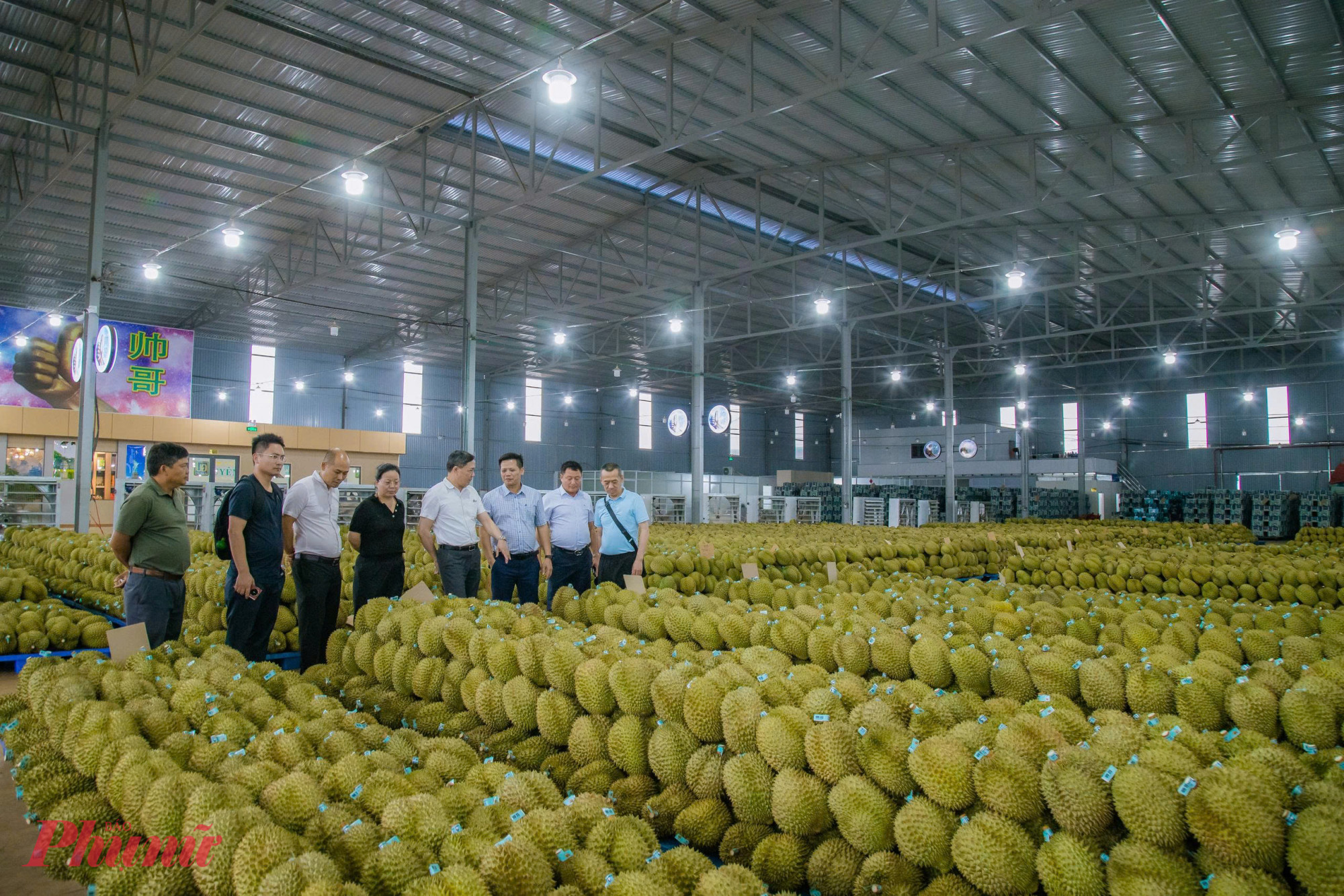 đo&agrave;n doanh nghiệp Trung Quốc đ&atilde; c&oacute; chuyến l&agrave;m việc, thăm quan v&ugrave;ng trồng, cơ sở đ&oacute;ng g&oacute;i v&agrave; t&igrave;m hiểu cơ hội hợp t&aacute;c với ng&agrave;nh h&agrave;ng sầu ri&ecirc;ng tại tỉnh Đắk Lắk.