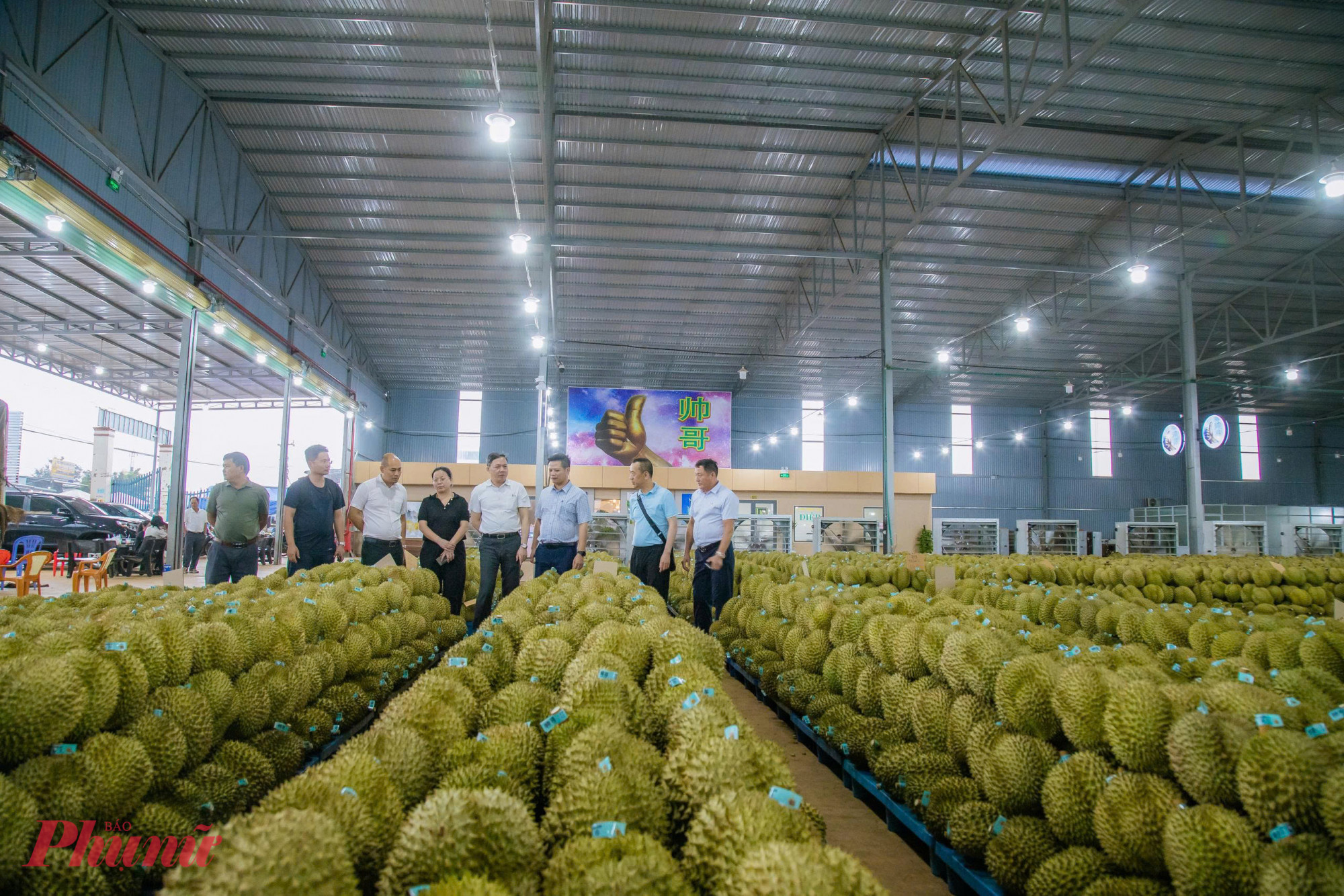 Sầu ri&ecirc;ng Việt Nam trong mắt doanh nghiệp Trung Quốc  ngon, gi&aacute; cả phải chăng, nguồn cung dồi d&agrave;o nhưng cần n&acirc;ng cao chất lượng.