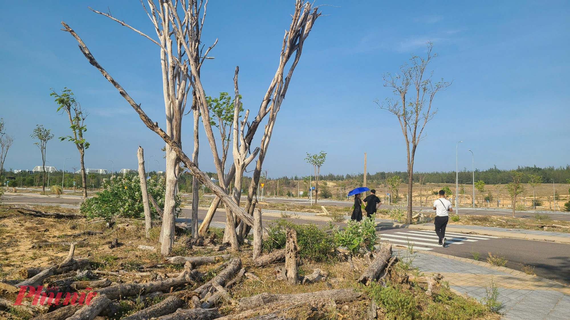 Một g&oacute;c dự &aacute;n Nhơn Hội New City 