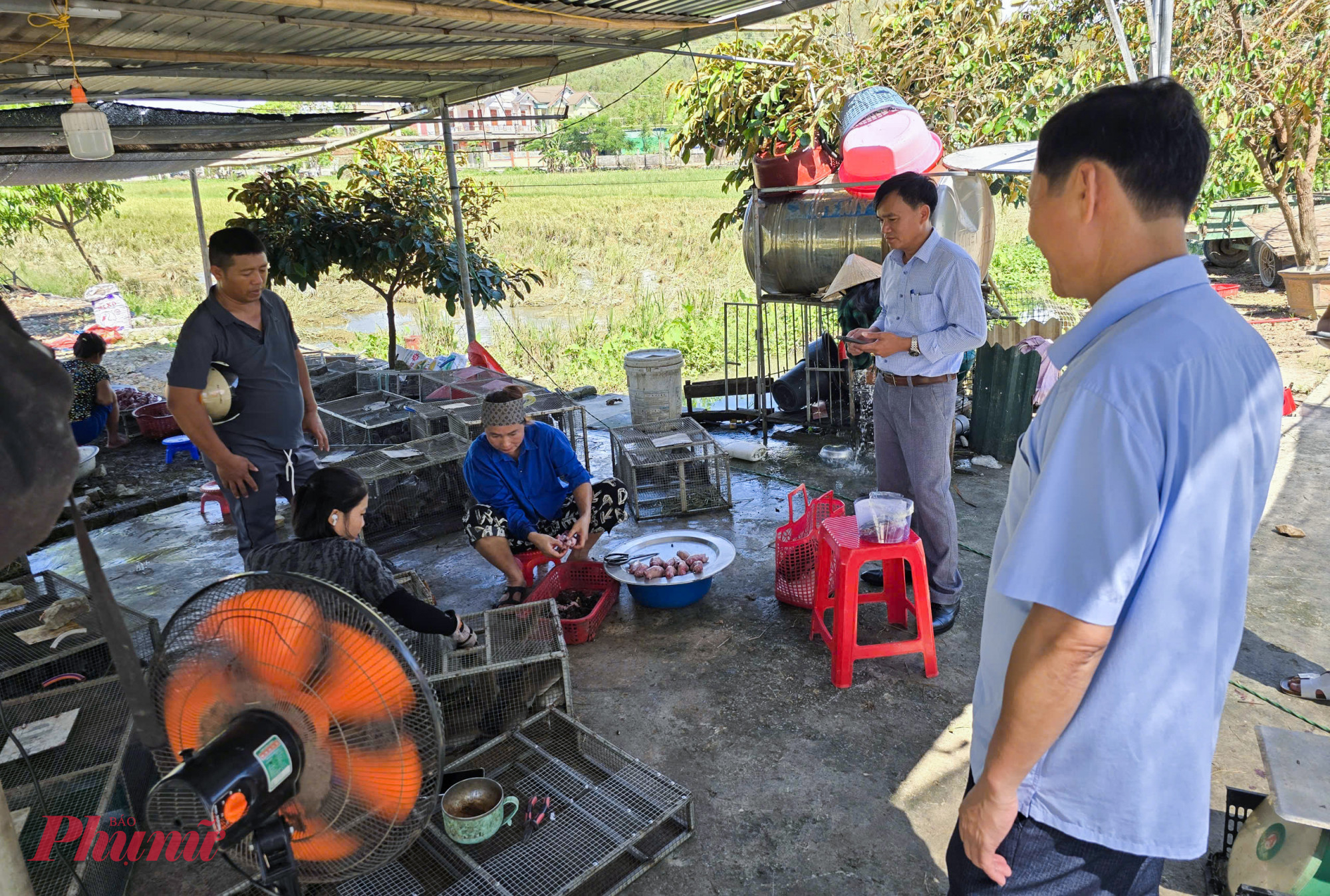 &Ocirc;ng Cung Đ&igrave;nh Mậu - Chủ một cơ sở thu mua chuột ở l&agrave;ng Thọ Bằng - cho biết, trung b&igrave;nh mỗi ng&agrave;y cơ sở của &ocirc;ng thu mua 1 tấn chuột. &ldquo;Nhu cầu thị trường cao, n&ecirc;n chuột đồng c&oacute; bao nhi&ecirc;u cũng b&aacute;n hết. Chuột sau khi thu mua được ph&acirc;n th&agrave;nh nhiều loại. Nhỏ để b&aacute;n cho người nu&ocirc;i rắn, chim&hellip; c&ograve;n lớn b&aacute;n cho c&aacute;c nh&agrave; h&agrave;ng, qu&aacute;n nhậu&rdquo; - &ocirc;ng Mậu n&oacute;i.