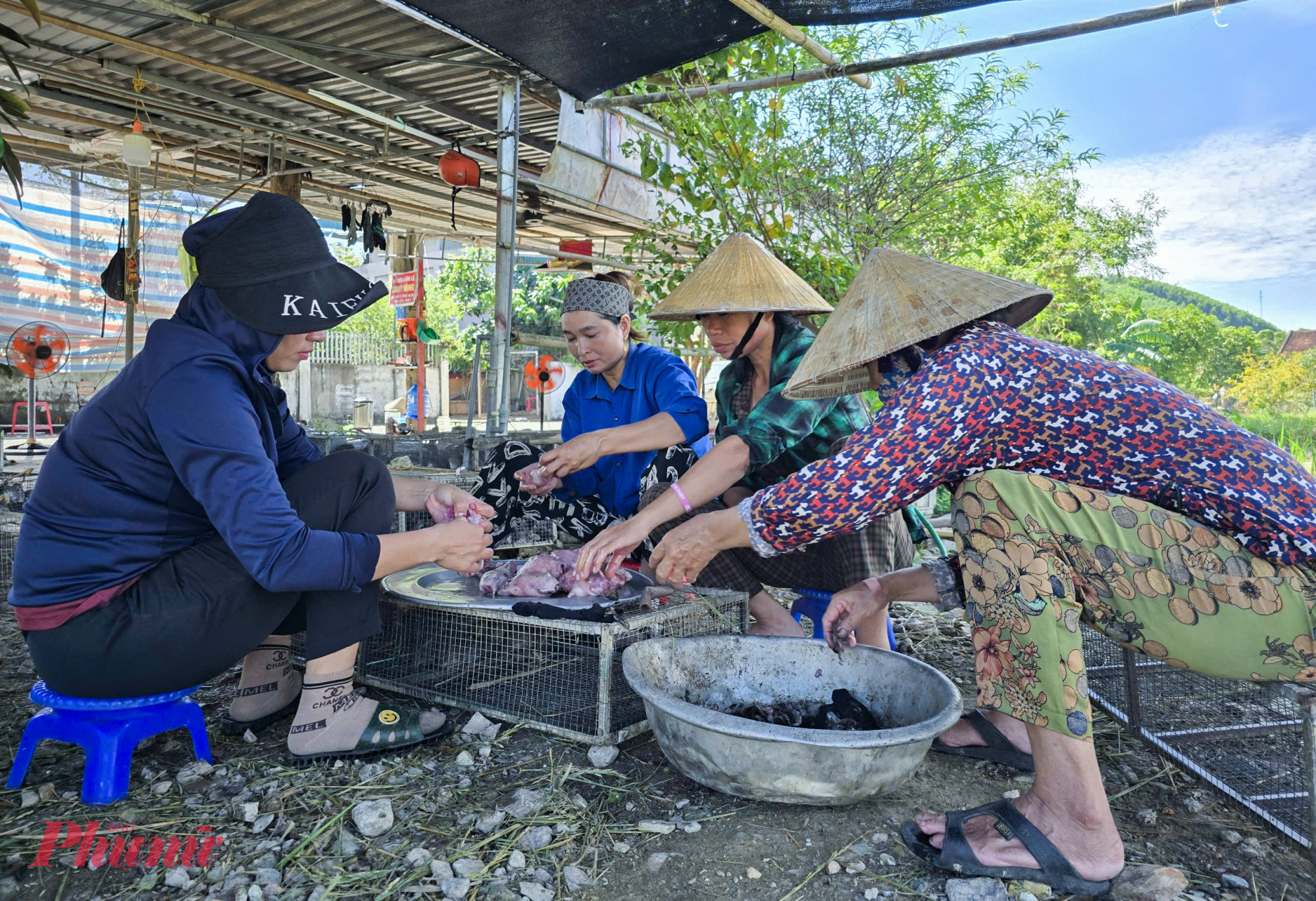 Những ng&agrave;y n&agrave;y, đi dọc c&aacute;c tuyến đường ở l&agrave;ng Thọ Bằng (x&atilde; B&igrave;nh Minh, tỉnh Nghệ An) kh&ocirc;ng kh&oacute; để bắt gặp những cơ sở thu mua v&agrave; b&aacute;n chuột đồng dọc 2 b&ecirc;n đường. Những cơ sở n&agrave;y b&agrave;y b&aacute;n đủ loại từ chuột c&ograve;n sống, chuột l&agrave;m thịt sẵn v&agrave; chuột đ&atilde; qua sơ chế.