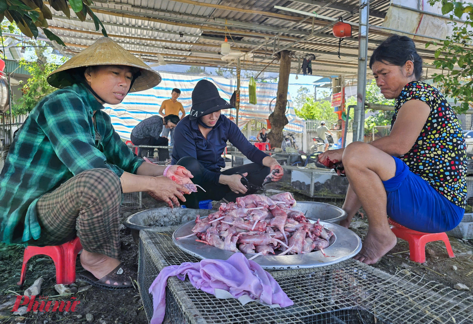 Sau khi thui lửa xong, b&agrave; con tiến h&agrave;nh lột da, cắt hết ch&acirc;n, đu&ocirc;i, đầu, mổ bụng lấy hết phần ruột ra v&agrave; đ&oacute;ng t&uacute;i h&uacute;t ch&acirc;n kh&ocirc;ng để kh&aacute;ch mang về chỉ việc chế biến. 