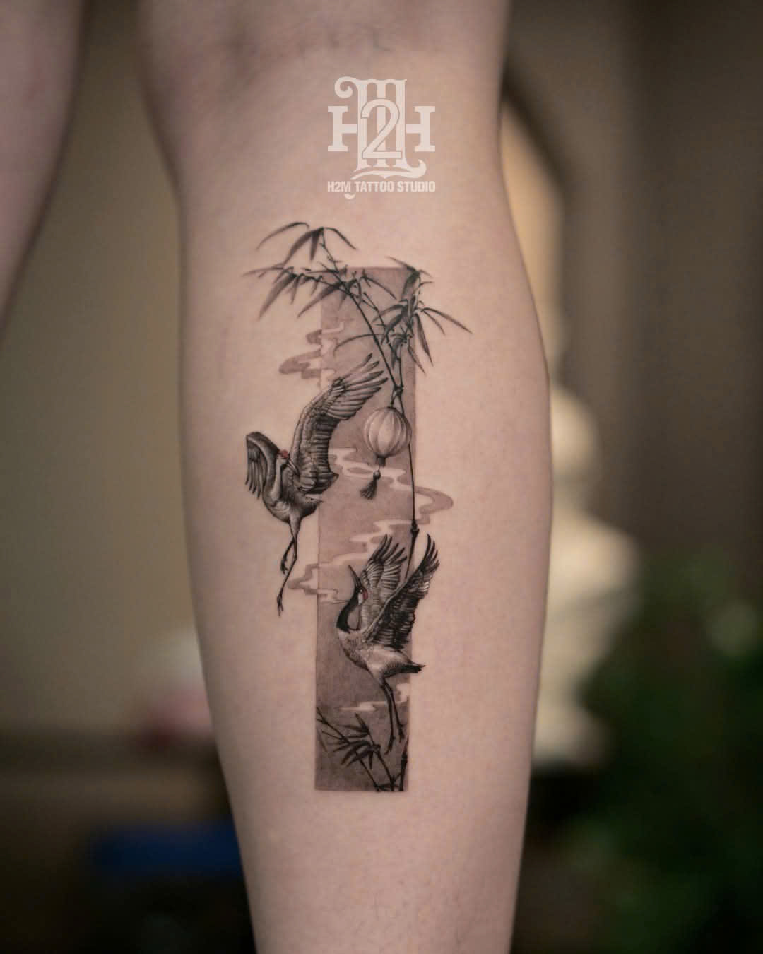 Ảnh: H2M