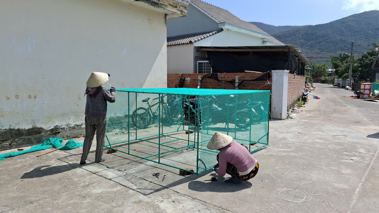 Hiện nay ph&iacute;a đ&ocirc;ng tỉnh Đắk Lắk đ&atilde; qua m&ugrave;a mưa b&atilde;o, b&agrave; Nhung đang sửa lại b&egrave; với 10 lồng nu&ocirc;i. B&agrave; Nhung tận dụng c&ocirc;ng trong nh&agrave; chớ c&ocirc;ng thợ b&acirc;y giờ cũng cao, trước 300.000 đồng nay tăng 500.000 đồng/người/ng&agrave;y.
