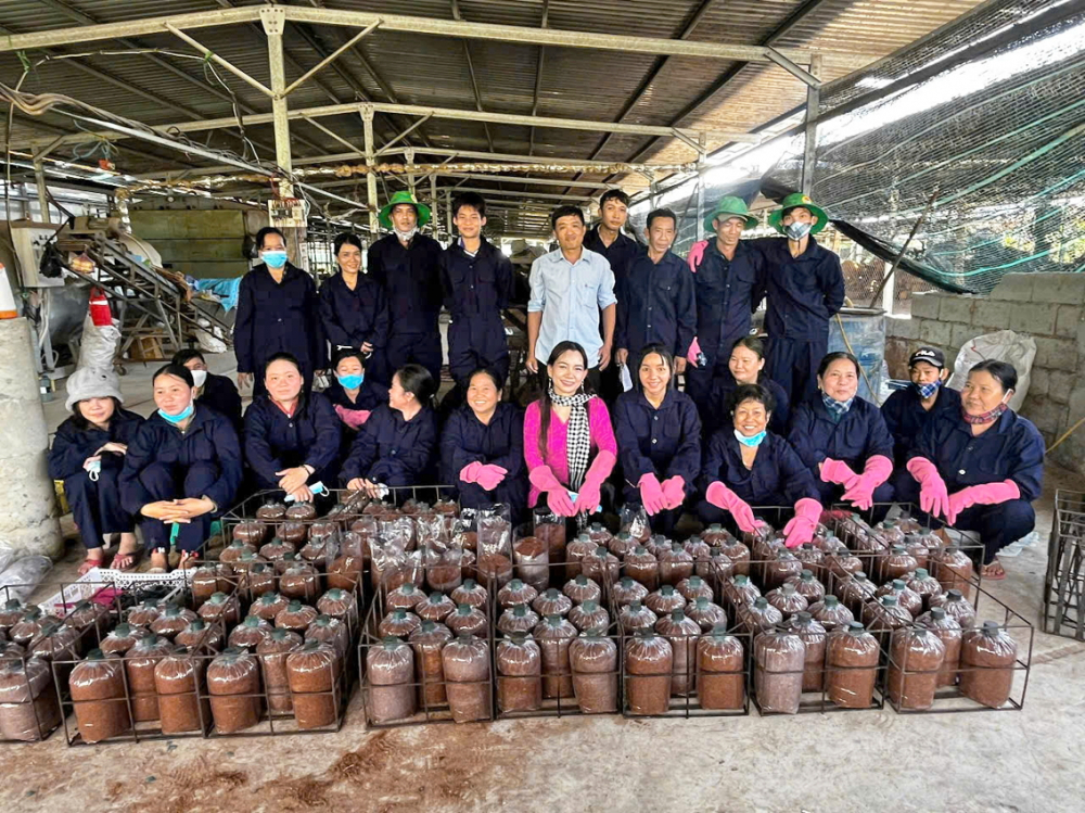 Hợp t&aacute;c x&atilde; N&ocirc;ng nghiệp T&agrave; Đảnh (tỉnh An Giang) tận dụng rơm rạ v&agrave; c&aacute;c nguồn phụ phẩm để trồng nấm dược liệu