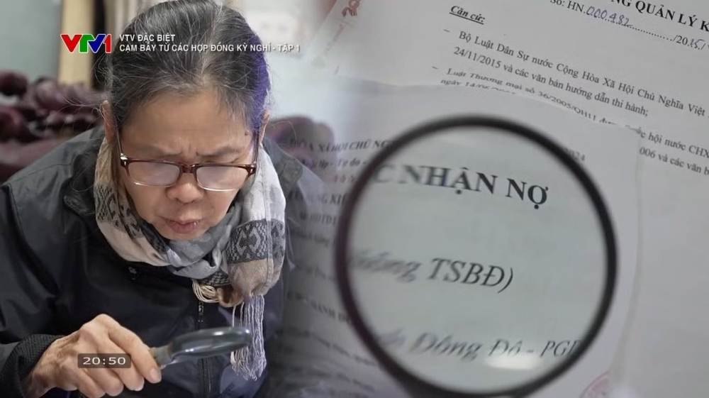 Hình ảnh những người già cặm cuội nghiên cứu mớ hợp đồng kỳ nghỉ trên truyền hình gây ấn tượng mạnh với khán giả. Ảnh: Chụp màn hình